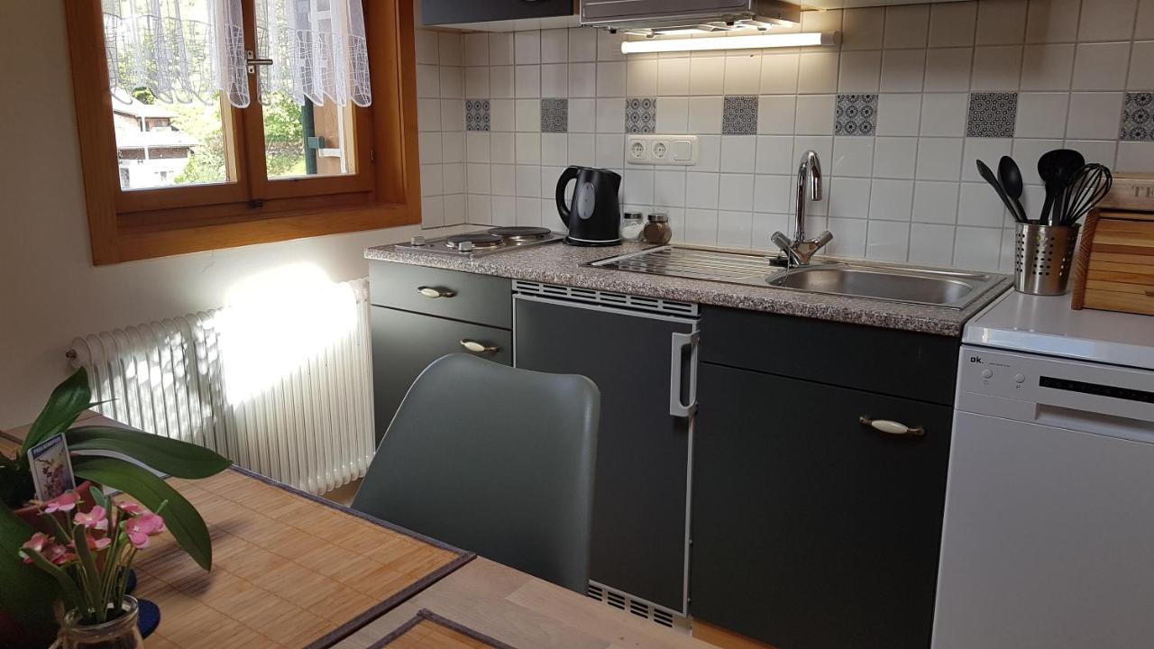 Ferienwohnung Apres Ski Schruns Eksteriør billede